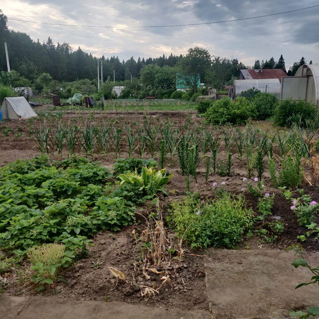 Март с аномальной жарой круто изменил сроки садово-огородных работ: названы новые даты